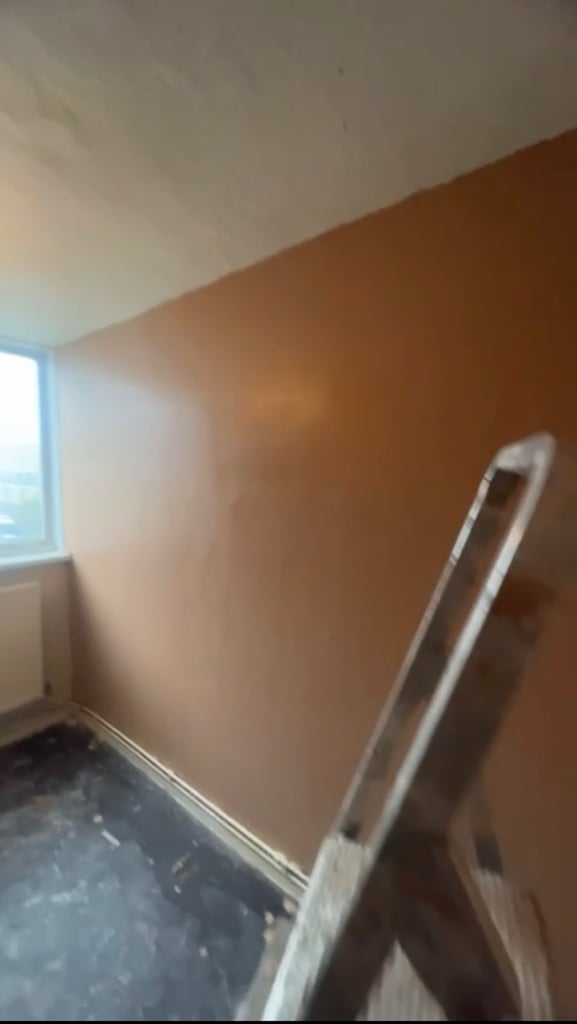 image for Top Rated plasterers  