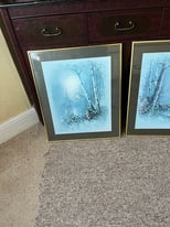 2 Pictures in frames 