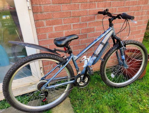 image for Apollo Jewell bike for sale
