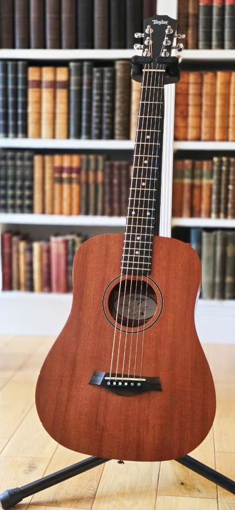 Taylor BT2 guitar with gig-bag in lovely condition with rich sound.