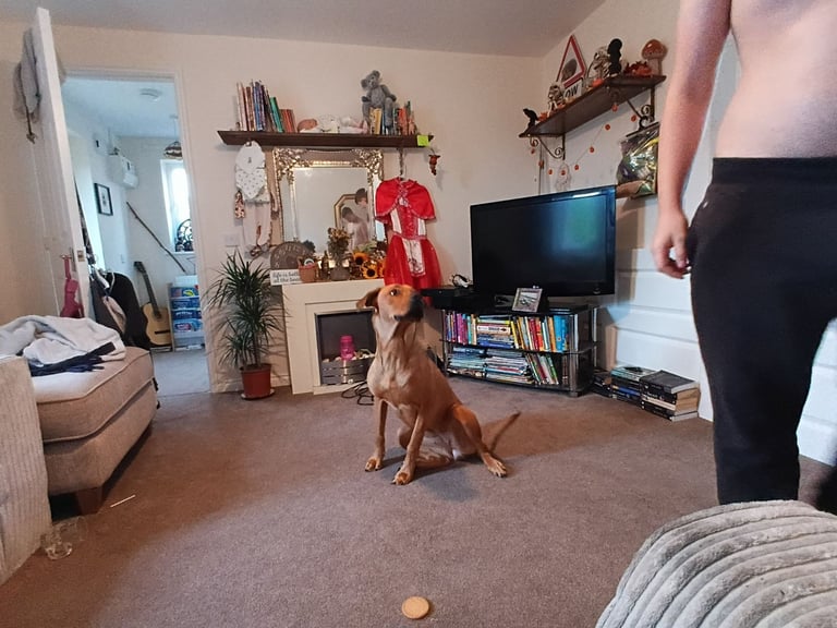 Karma 1year old girl