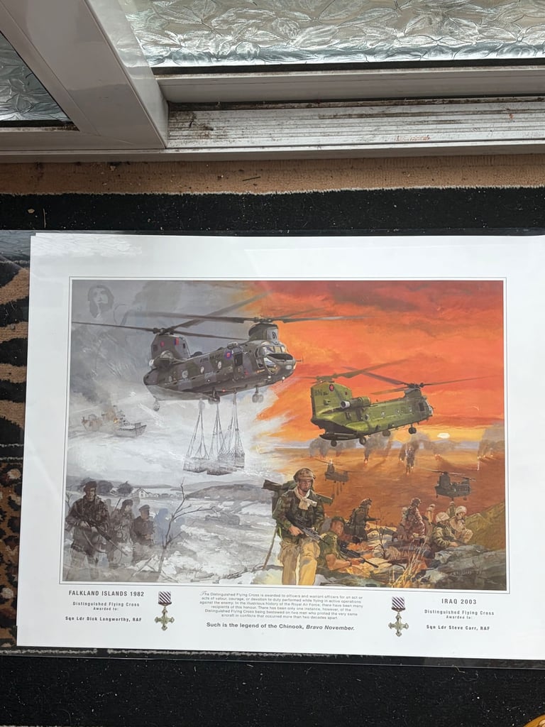 image for Falkland Islands 1982 and Iraq 2003 pint signed J Noujokas 