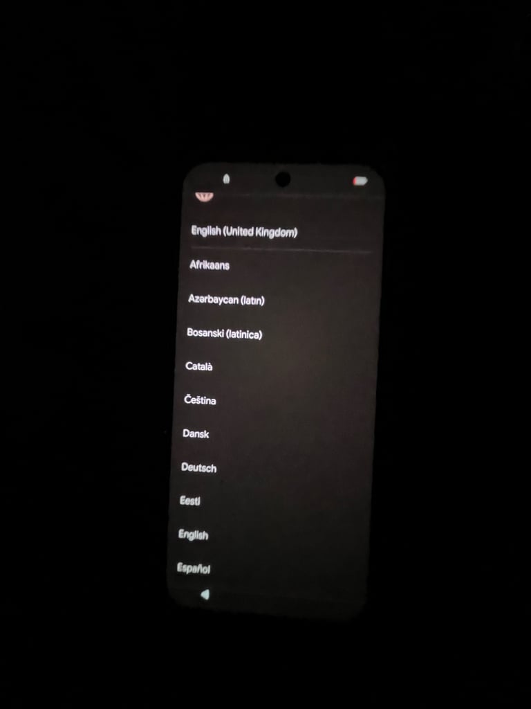 Google pixel pro 9 
