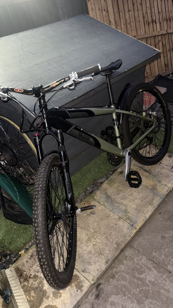 image for Rally fishbed