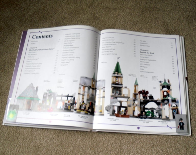 Lego Harry Potter Building The Magical World and Characters Of the Magical World With 2 Minifigures