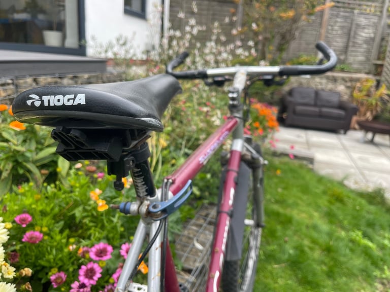 Men’s Carrera Bike