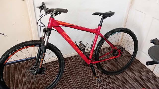 Carrera Hellcat LTD Edition 29”