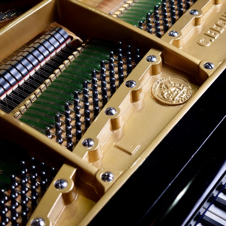 Restored Bechstein Model L Baby Grand Piano Black | Delivery, Warranty, Stool, Tuning