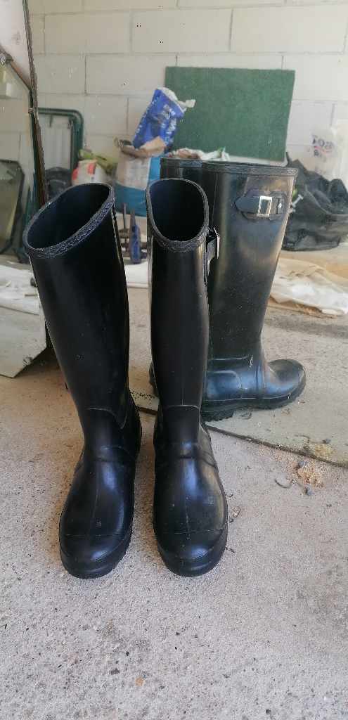 Stable Wellington Boots SIZE 41