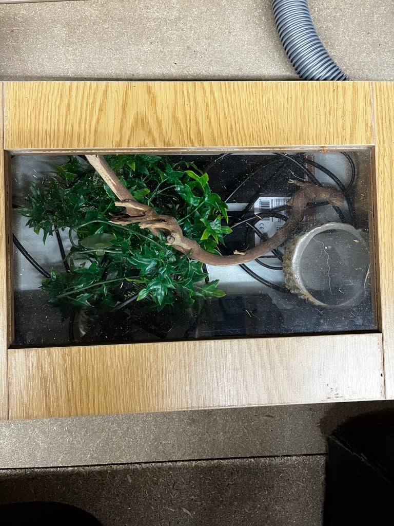 Small vivarium 