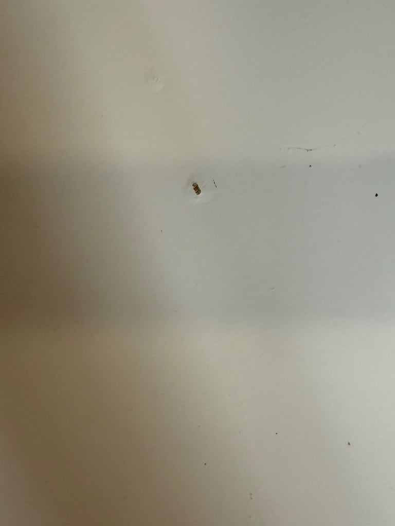 IKEA extendable table and chairs