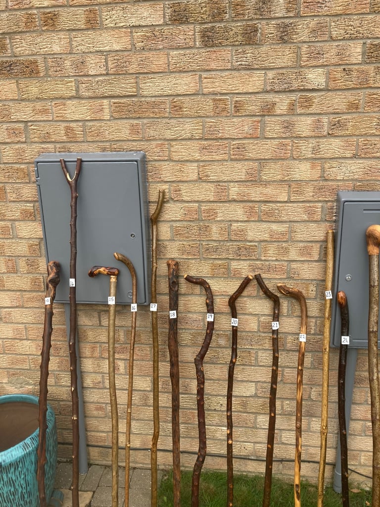 Hiking sticks 