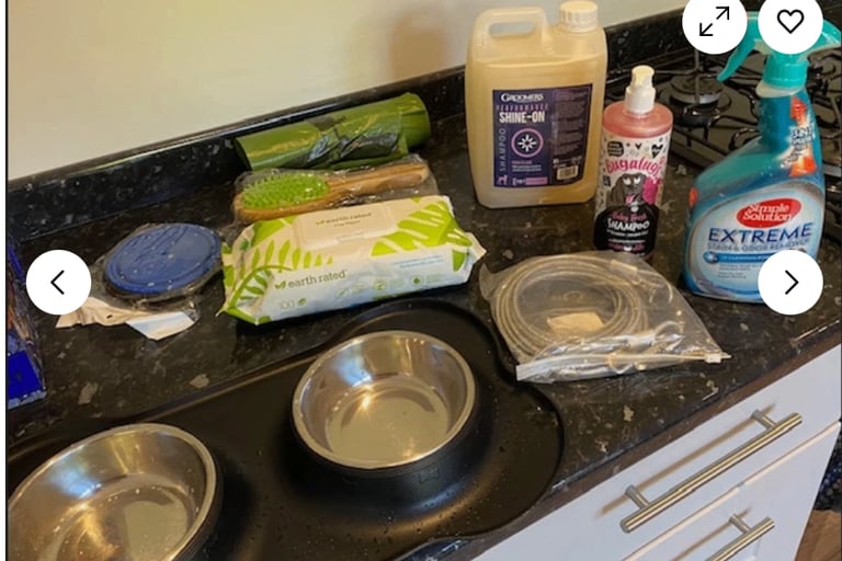 Dog bowl, lead & groom kit, bed included