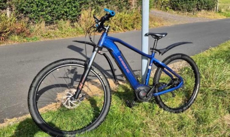 image for Haibike alltrack4 29er 2024 
