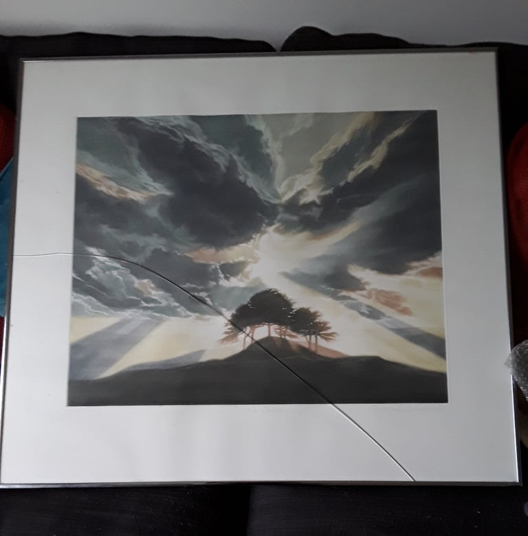  Susan Jameson Framed Picture - Artists Proof - 'The Copse'