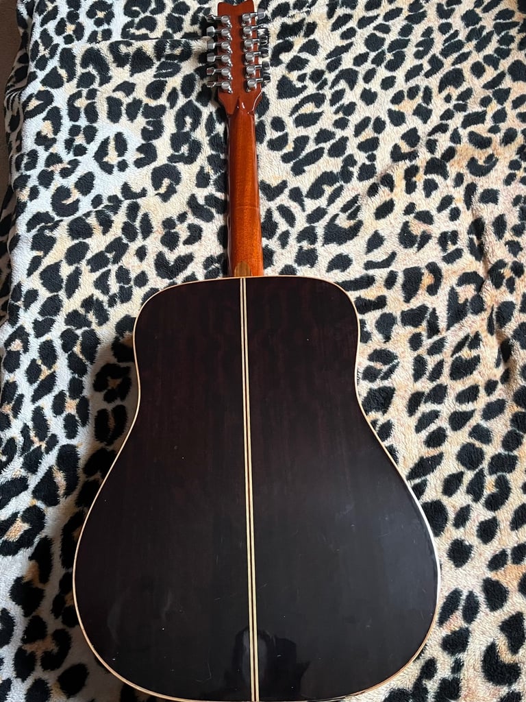 Washburn 12 string guitar D68 SWN