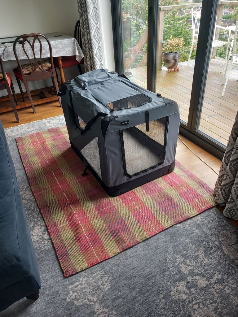 Large Pet Travel Cage 