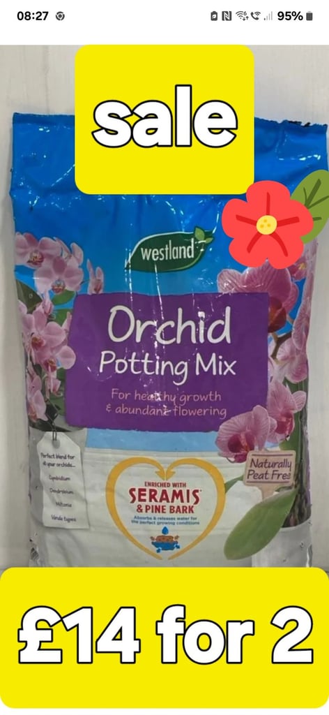 Westland orchard potting mix 
