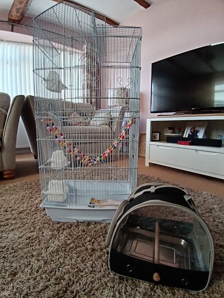 Small bird mansion cage