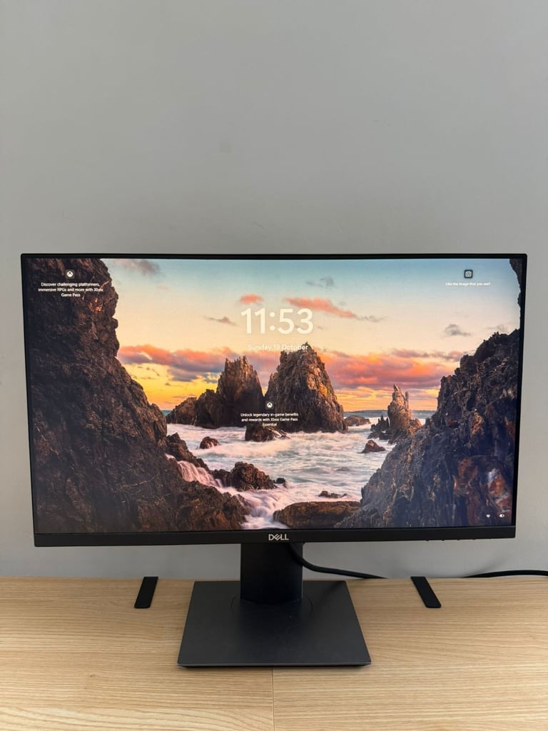 24 inch Dell Flat Panel Monitor 