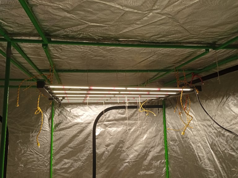 Hydroponics grow tent 