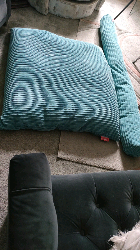 Lounge pug bean bag. X large with matching cushion Reduced!!