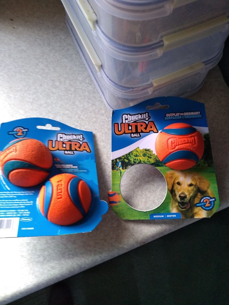 Toys for your pet dog
