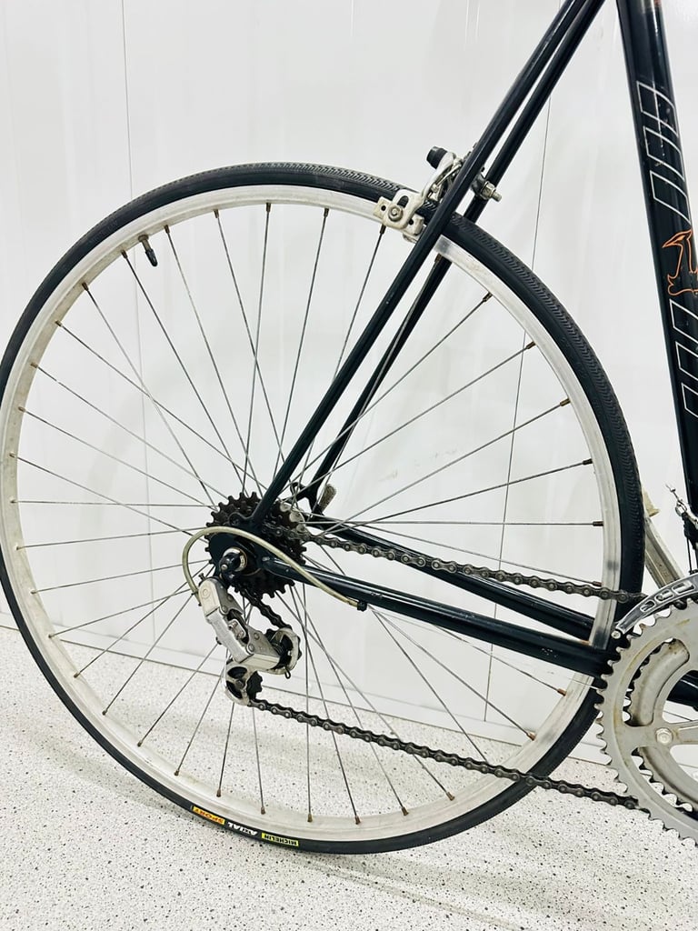 RALEIGH RECORD Size/L Fully Serviced 10 Speed Road Bike WARRANTY 