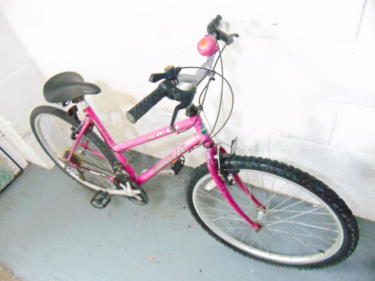 Emmelle Bali (18 inch frame) Mountain Bike (free local delivery)