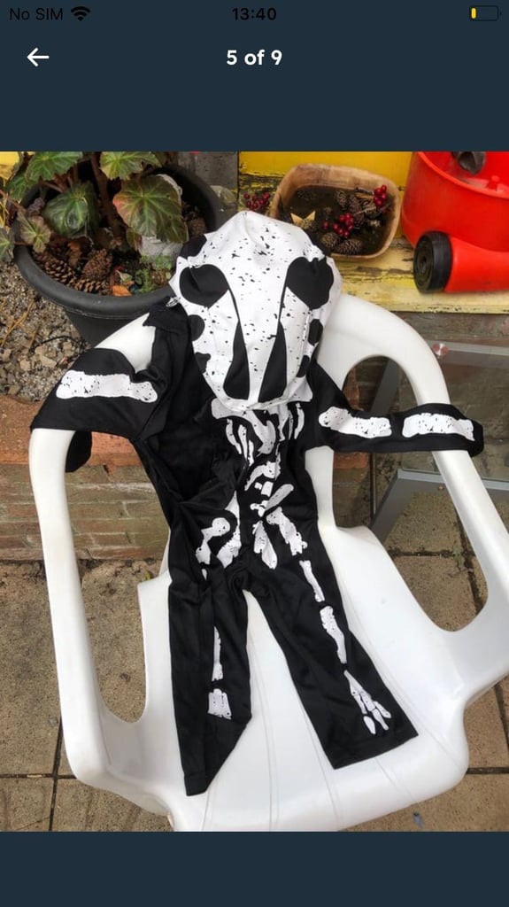 Halloween costumes