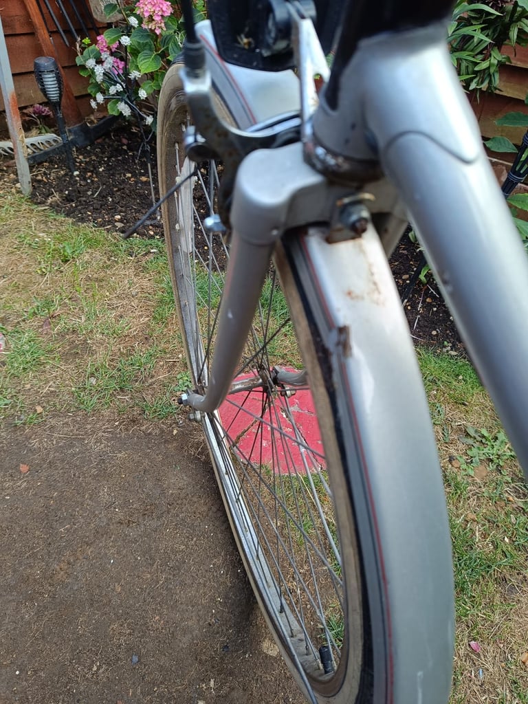 image for Raleigh ladies bicycle 