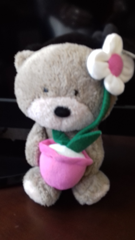 New Birthday teddy and others £5-£10
