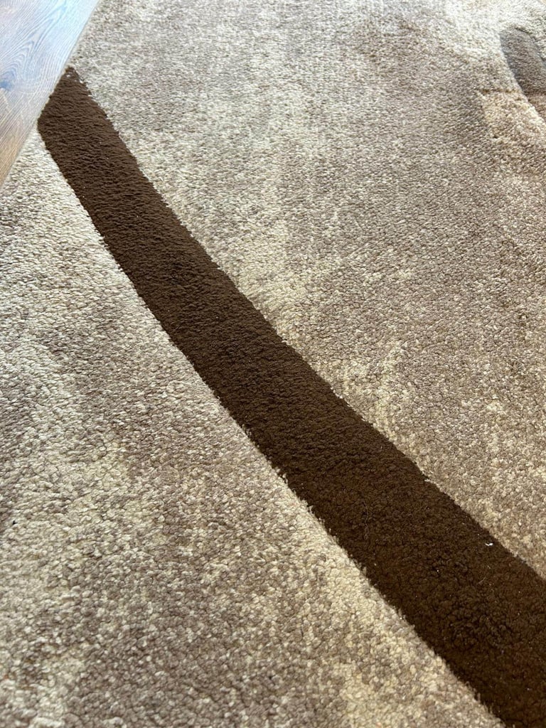  Extra Large Beige ,Cream and Brown coloured lovely Rug