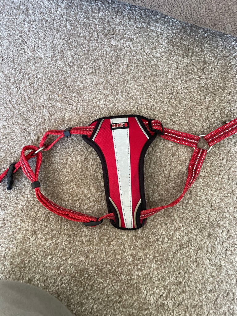 Kong dog harness