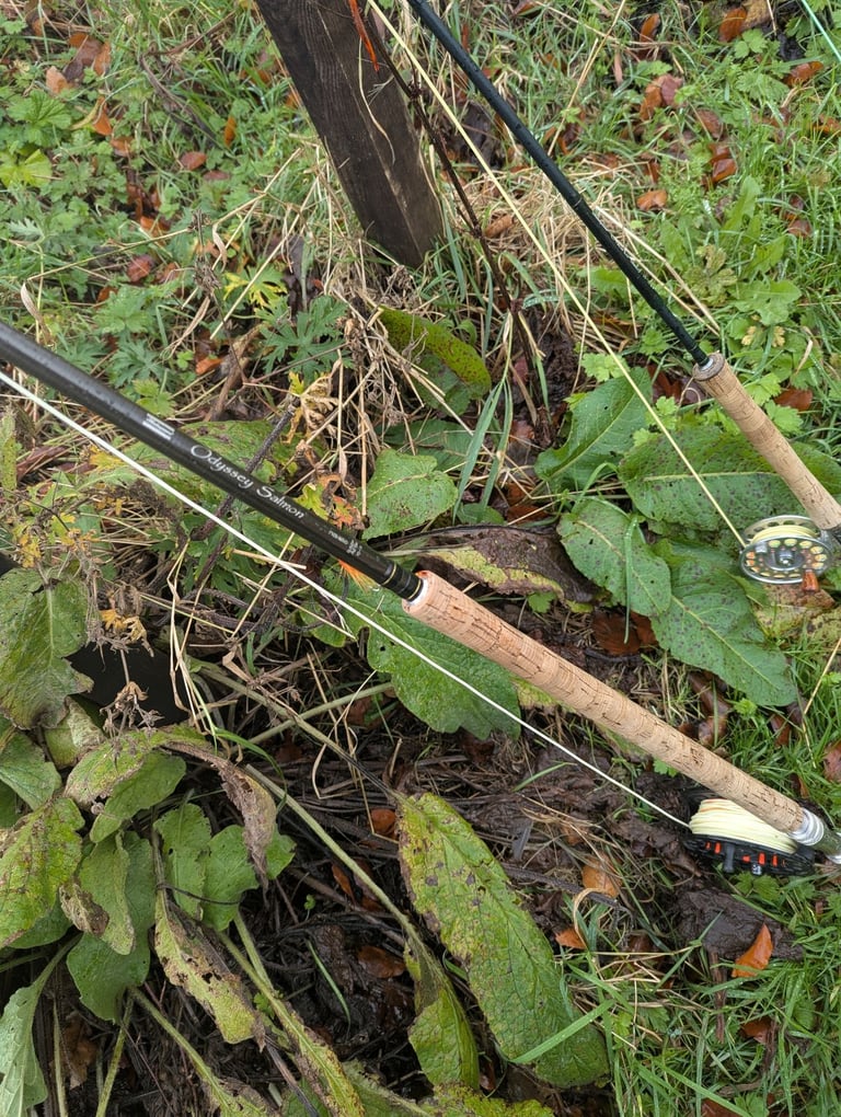 Shakespeare Oddessy Salmon 15'