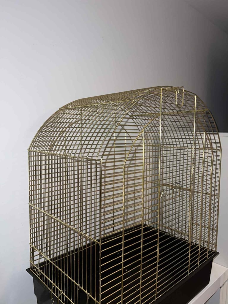 Gold bird cage 