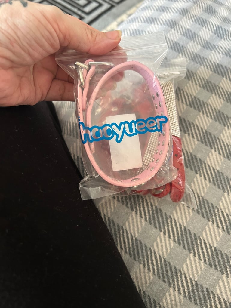 Dog collar and lead 