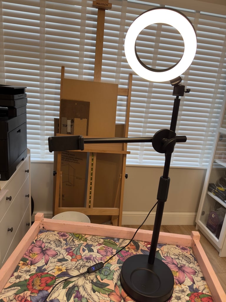 Liftable phone mount recording stand with light