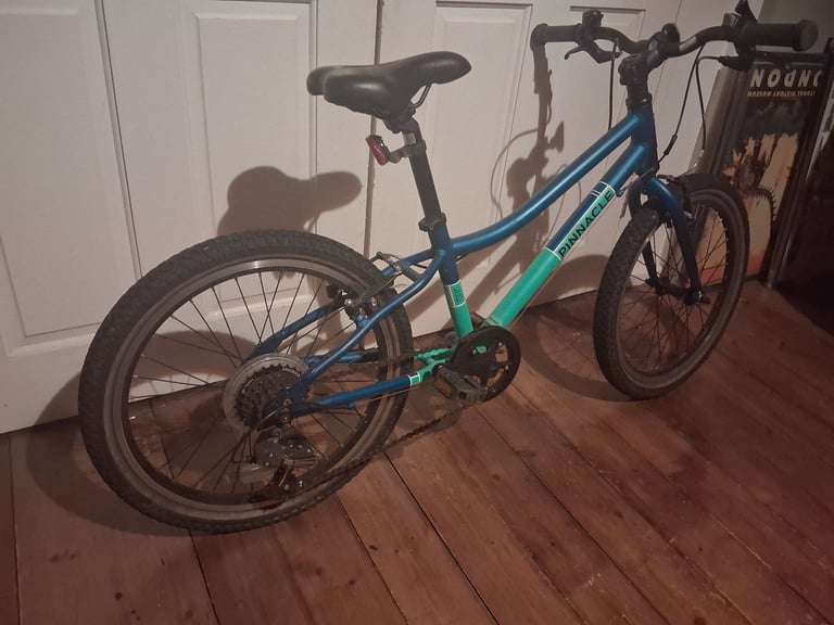 Kids Bike 20inch Pinnacle Ash