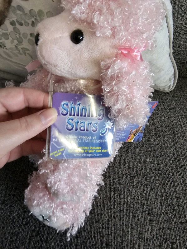 Shining star plush teddies with tags £8 each