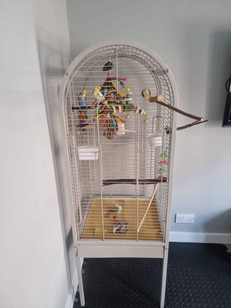 Parrot cage