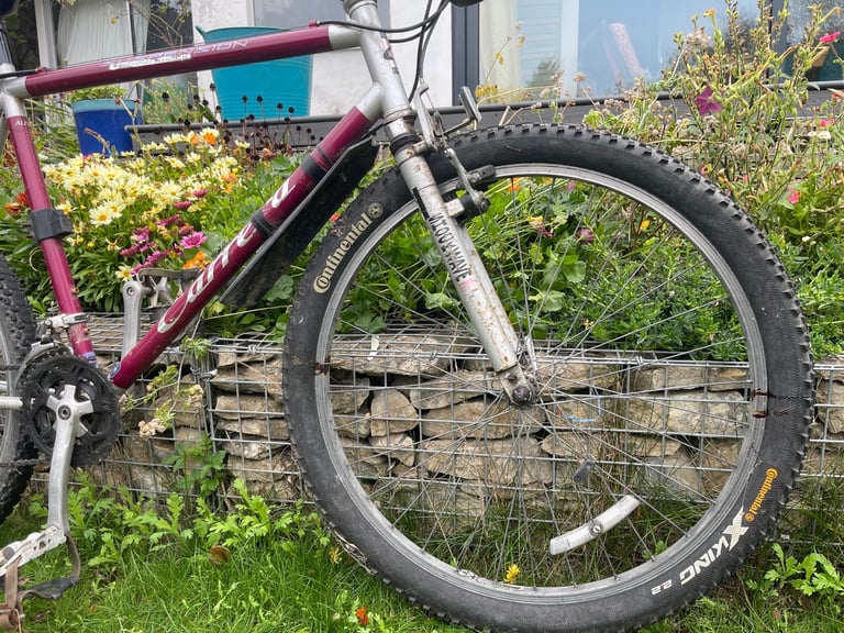 Men’s Carrera Bike