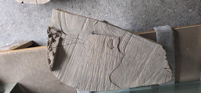 image for Oak wood