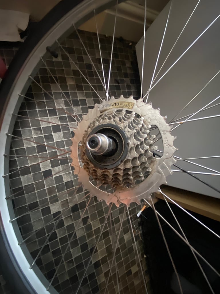 Bicycle Wheels 