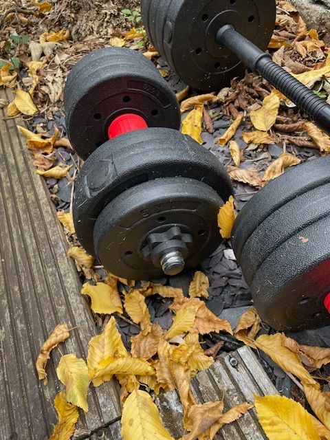 Free Weights Set for Sale - 2 Dumbbells + 1 Barbell 
