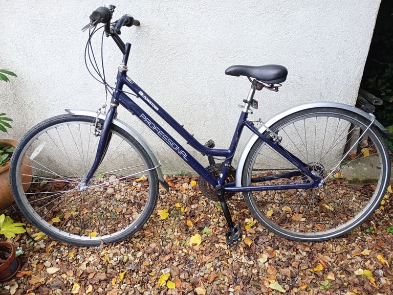 Ladies Professional Downtown bike, 18 speed, 18 inch frame, serviced, good condition