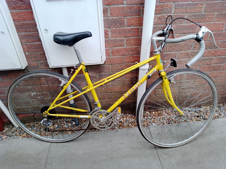 Rare Vintage Ladies F W Evans Reynolds 531 Mixte Frame Road Racing Bike Bicycle