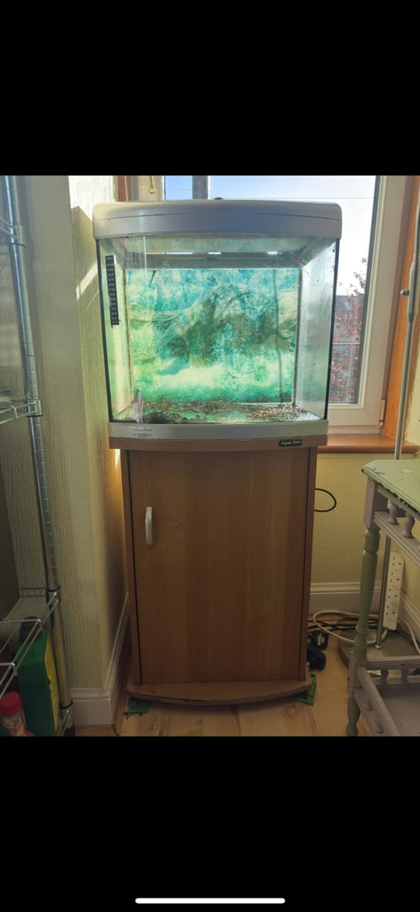 Aqua One AquaStart 500 Bow Front 65L Tank, Stand & Accessories – Perth