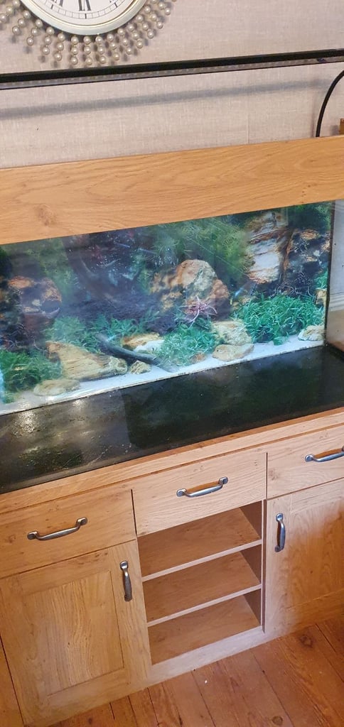 image for Aquarium and cabinet 