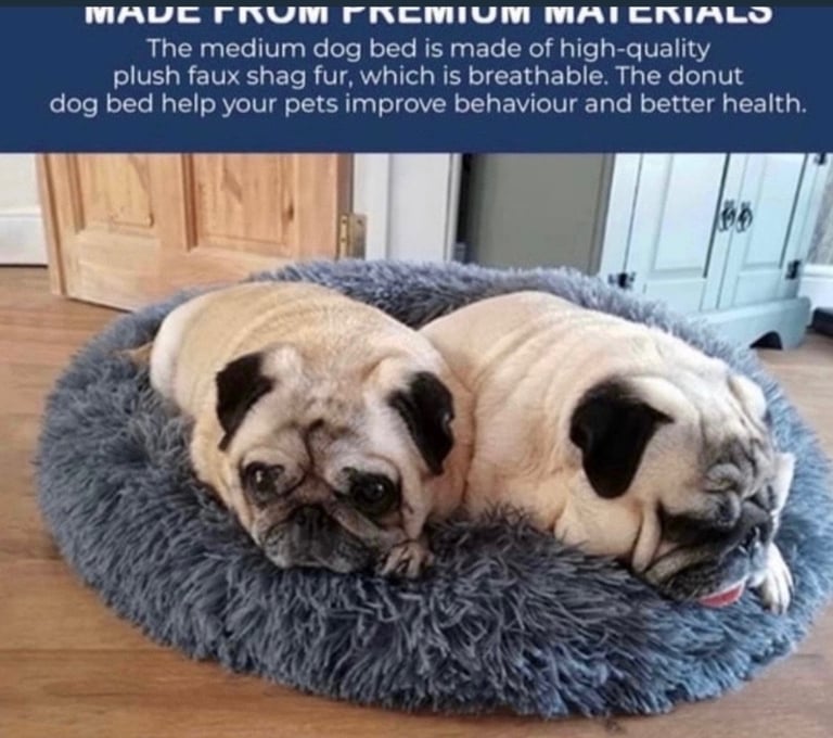 Brand new pet bed 